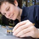 Assistant Professor Felicity Muth's work on bumblees is supported by a grant from The National Geographic Society. It is one of the grants and contracts contributing to over $1 billion in research funding awarded to UC Davis in the past fiscal year. (Photo by TJ Ushing/UC Davis)